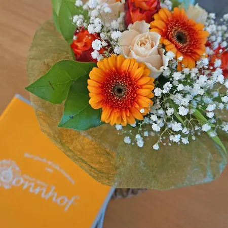 Ladis-8 By Interhome Apartment *